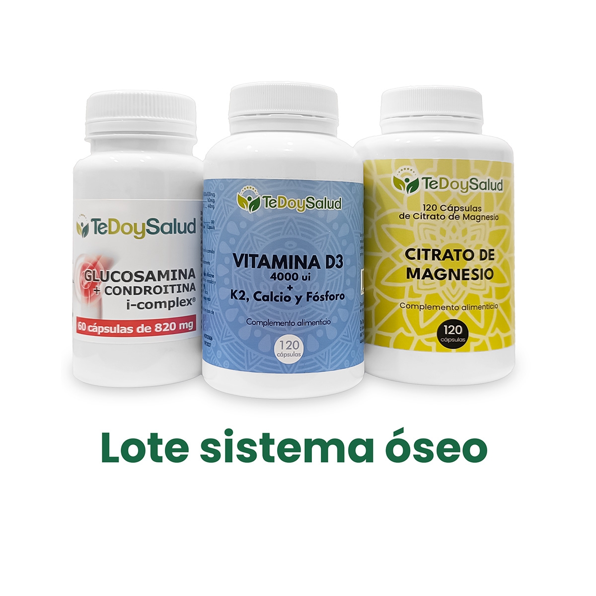 Lote Sistema óseo